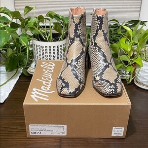 Madewell Women's Snake Print Ankle Boots - Multi-Color. Great used condition 7.5